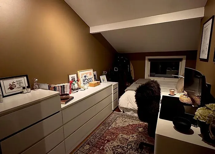 With 2 Bedrooms And High Standard 아파트 트롬쇠